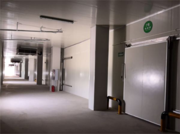 食品公司內建造一個1000平包子、水餃速凍冷庫費用是多少？