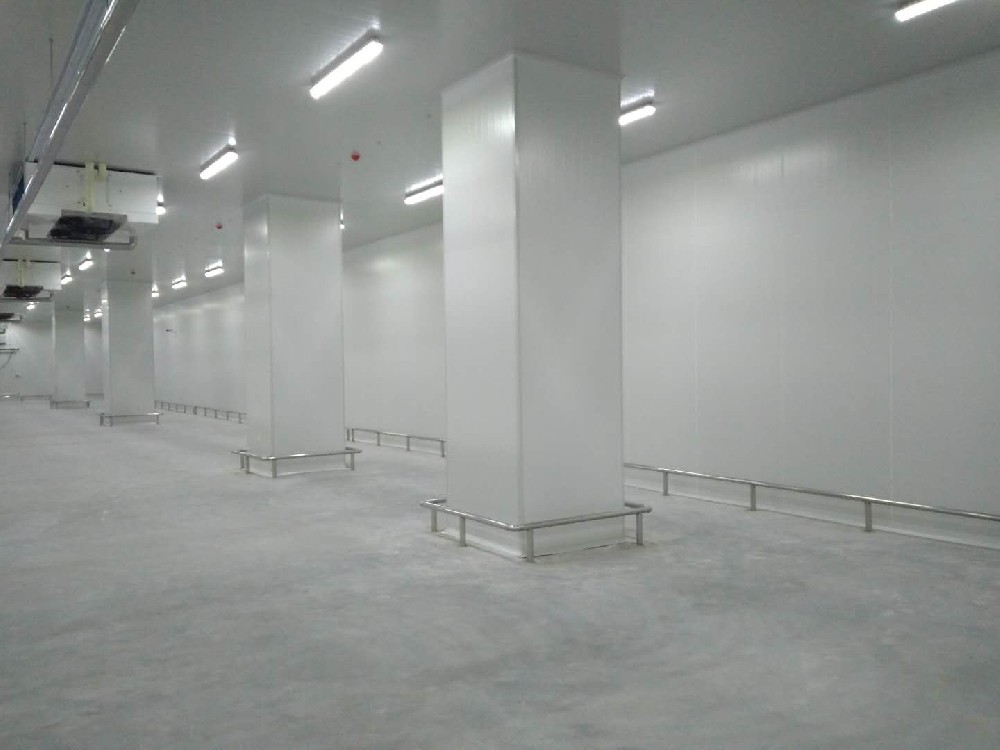 建造200噸的肉類冷鏈冷凍庫如何做好規(guī)劃設計？