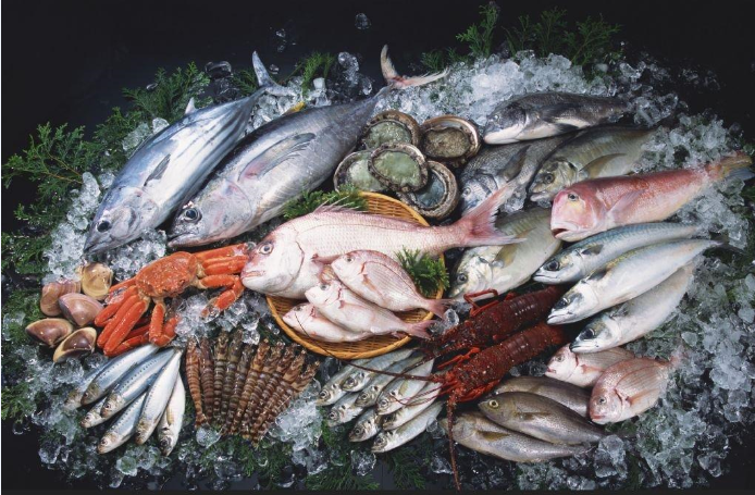 零下低溫凍魚(yú)冷庫(kù)工程設(shè)計(jì)，凍魚(yú)冷庫(kù)安裝管理