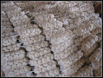 大蒜保鮮冷庫設計，冷庫安裝要求