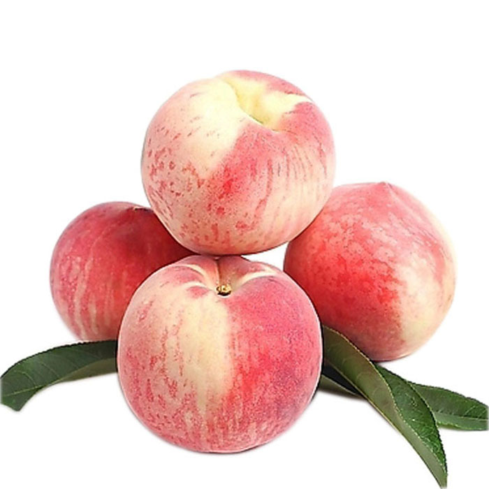 桃子冷庫保鮮方法，水果氣調庫安裝設計