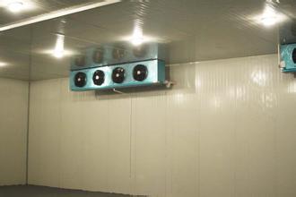 水果、蔬菜保鮮冷庫(kù)安裝,冷庫(kù)工程建造