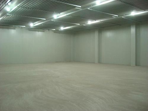 西蘭花冷庫(kù)存儲(chǔ)多久，100噸西蘭花冷庫(kù)建造多少錢(qián)