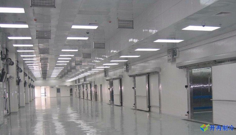 50000噸豬肉冷庫，冷庫總投資需要多少錢