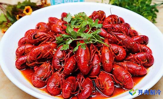 江蘇600㎡小龍蝦冷庫(kù)（水產(chǎn)冷凍庫(kù)）建造多少錢(qián)