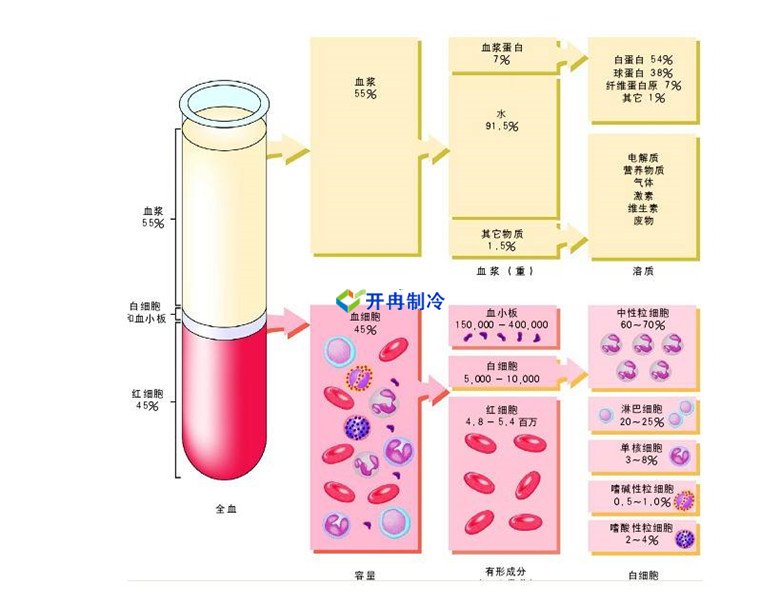 -30℃～-80℃血漿蛋白低溫冷凍庫規范，冷庫安裝價格
