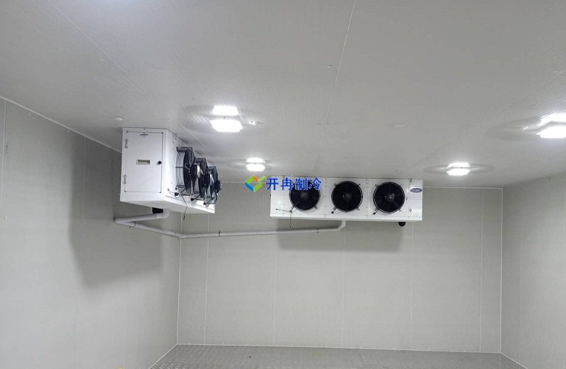 三甲醫(yī)院冷庫(kù)，體外診斷試劑冷庫(kù)